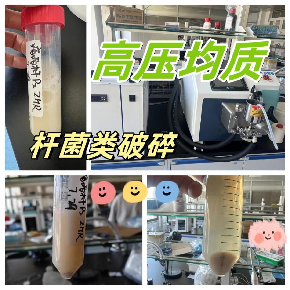 食品高壓均質(zhì)機(jī)